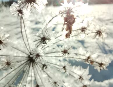 Ferie dla rodzin z dziećmi  2026/ zajęcia dla dzieci/joga dla dorosłych