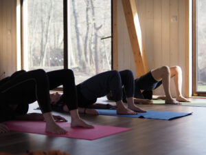 sala warsztatowa, joga, warsztaty