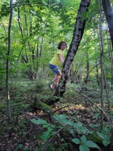 wakacje dla rodzin z dziećmi, zajęcia dla dzieci, rodzinny czas, leśna edukacja, wakacje Beskid Niski