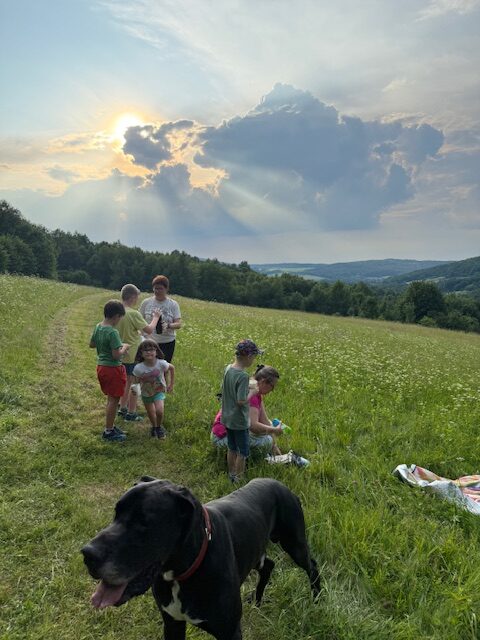 Na polanie w naturze, dzieci na letnich zajęciach