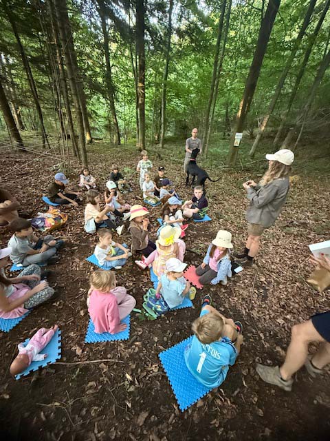 Dlaczego kontakt z naturą jest tak ważny dla dzieci? | Wakacje w naturze Beskid Niski
