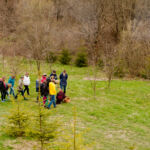WARSZTATY JOGI W GÓRACH BESKID NISKI